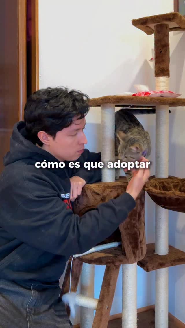 JAJAJ alguien explíqueme porque los gatos son así 😮‍💨
Hace poco leí Meditaciones de Gato Aurelio y quería compartirles mi experiencia. Mas ahora que adoptamos a Christie 🐱
#cartasdeunlector #libros #literatura #books #librosrecomendados #librosymaslibros