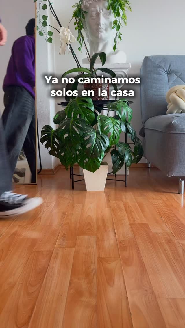 ADOPTAMOS A UNA GATITA 🐱❤️
¿Entendieron la referencia de su nombre? 📖✨
#cartasdeunlector #couple #home #gatos #mascota